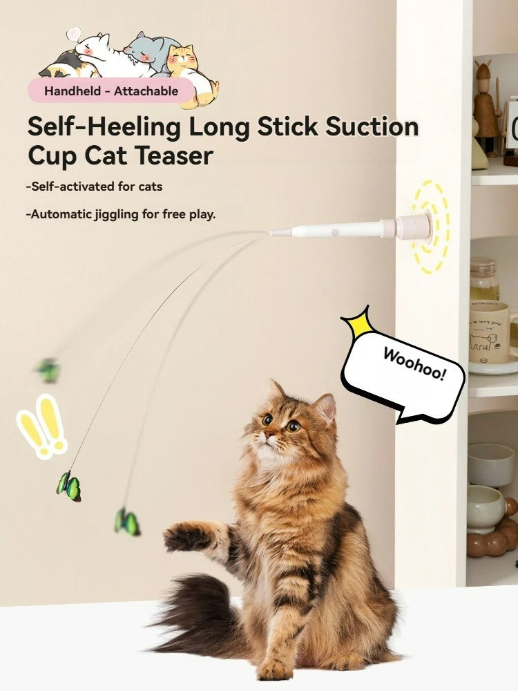 Automatic cat teasing